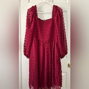 Burgundy Clip Dot Dress XXL